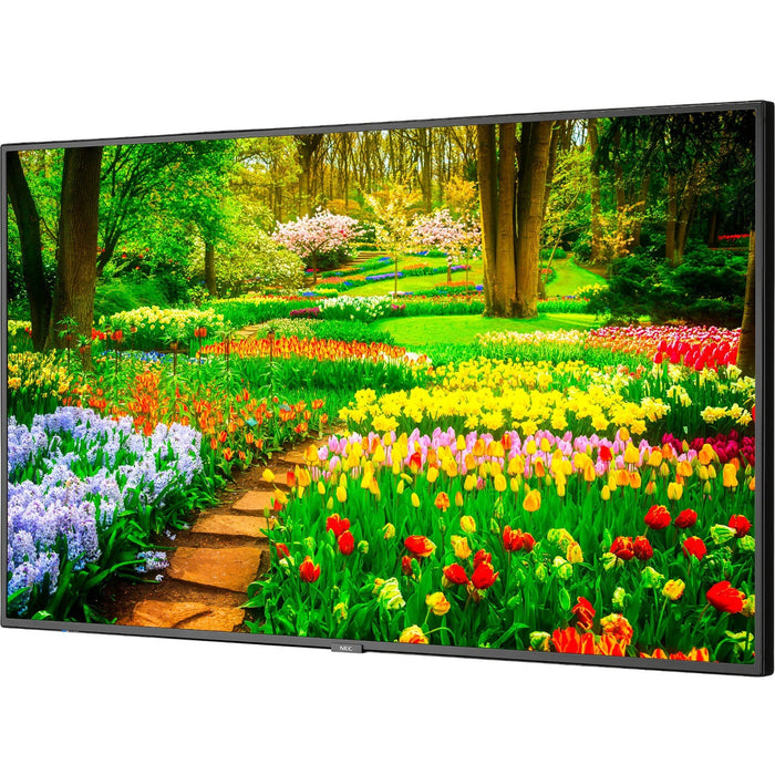 Sharp NEC Display 49" Ultra High Definition Professional Display with Built-In Intel PC