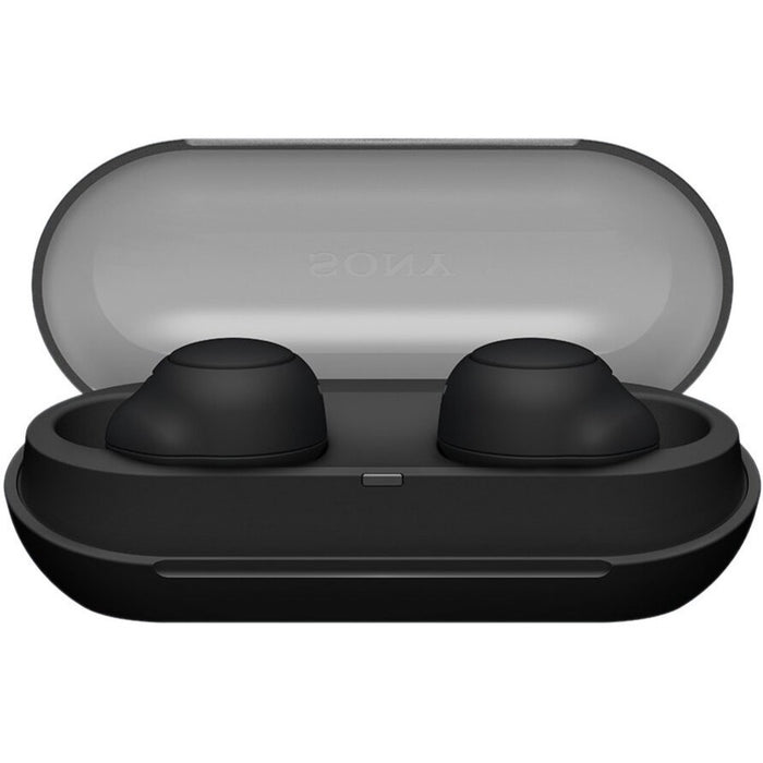Sony WF-C500 Truly Wireless In-ear Headphones