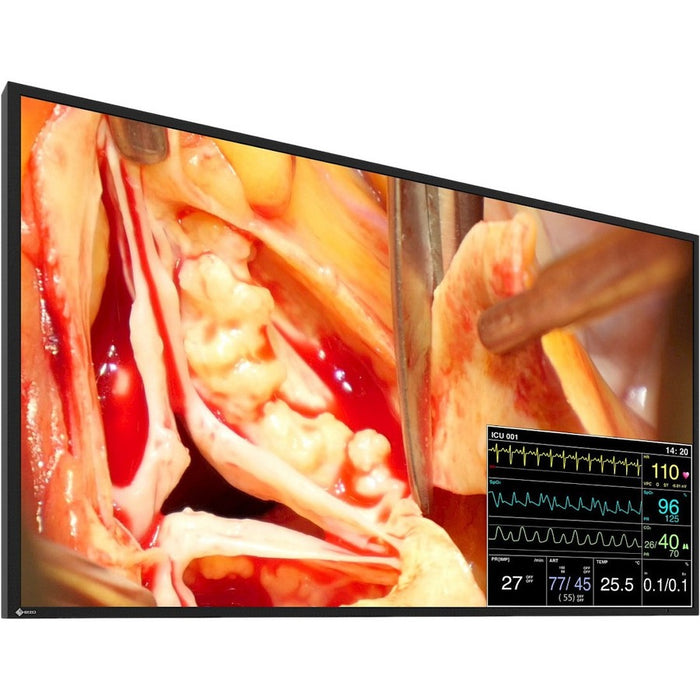 EIZO CuratOR LX491W-BK 48.5" Full HD LED LCD Monitor - 16:9 - Black