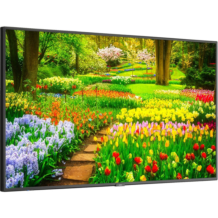 NEC Display 49" Ultra High Definition Professional Display with Integrated ATSC/NTSC Tuner