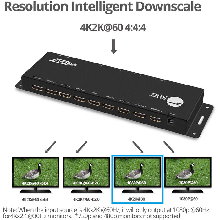 SIIG 1x8 HDMI 2.0 HDR Splitter Distribution Amplifier with EDID Management - 4Kx2K 60Hz
