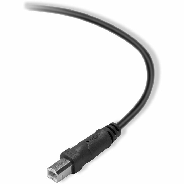 Belkin 2.0 USB-A to USB-B Cable