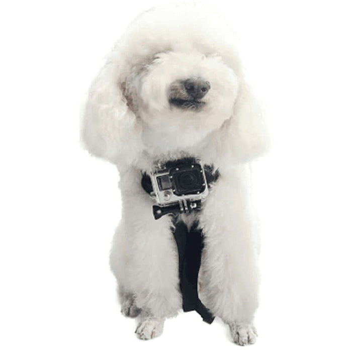 Sabrent Fetch GP-DGFH Dog Harness