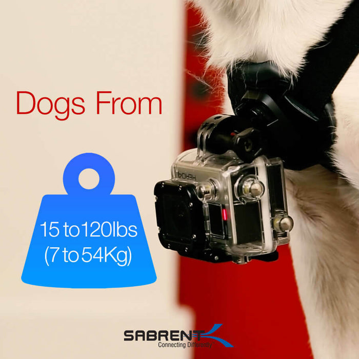 Sabrent Fetch GP-DGFH Dog Harness