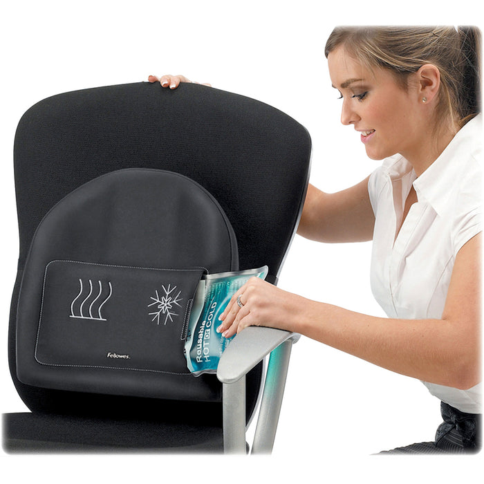 Fellowes Heat and Soothe Back Support